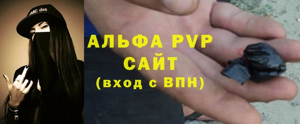 PSILOCYBIN Баксан