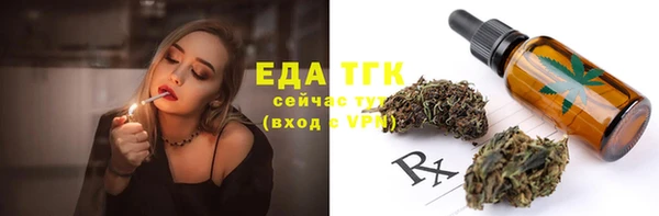 стафф Арсеньев