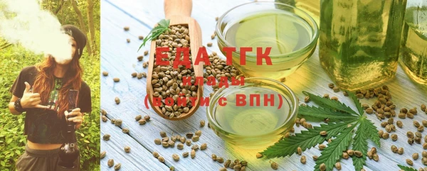 стафф Арсеньев