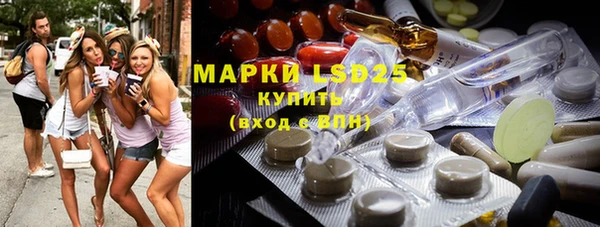стафф Арсеньев