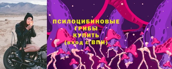 прущие грибы Покачи