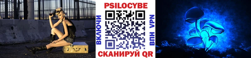 Псилоцибиновые грибы мицелий как найти Малгобек